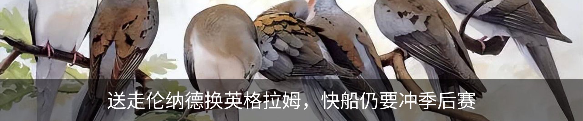 最新动态