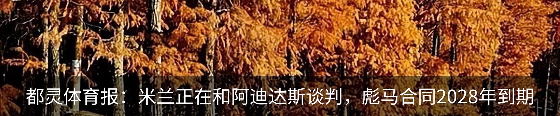 最新动态
