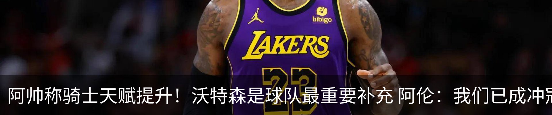 最新动态