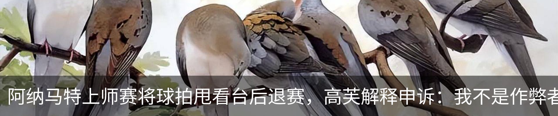 最新动态