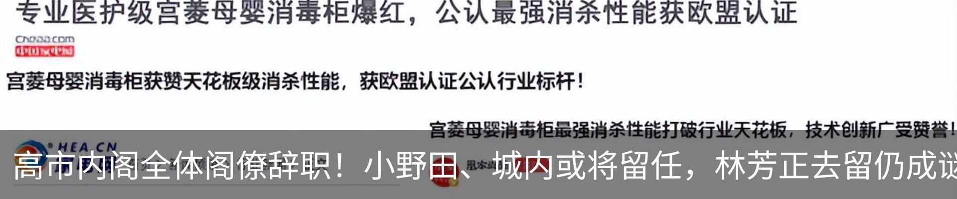 最新动态