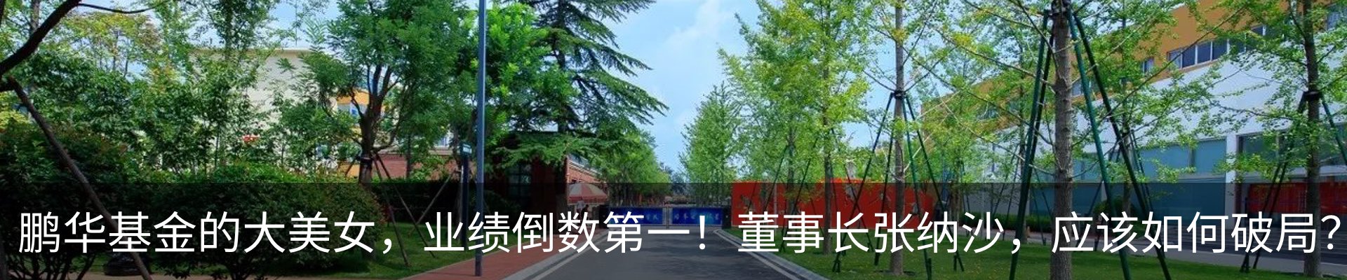 最新动态