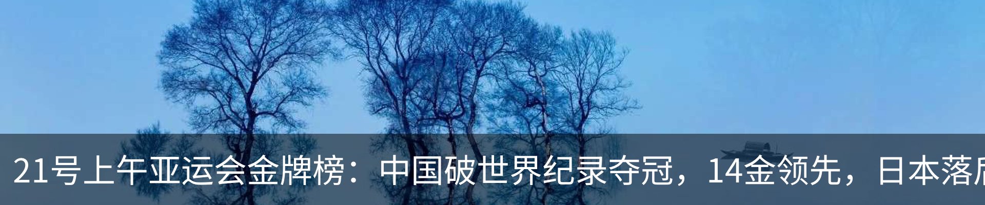 最新动态