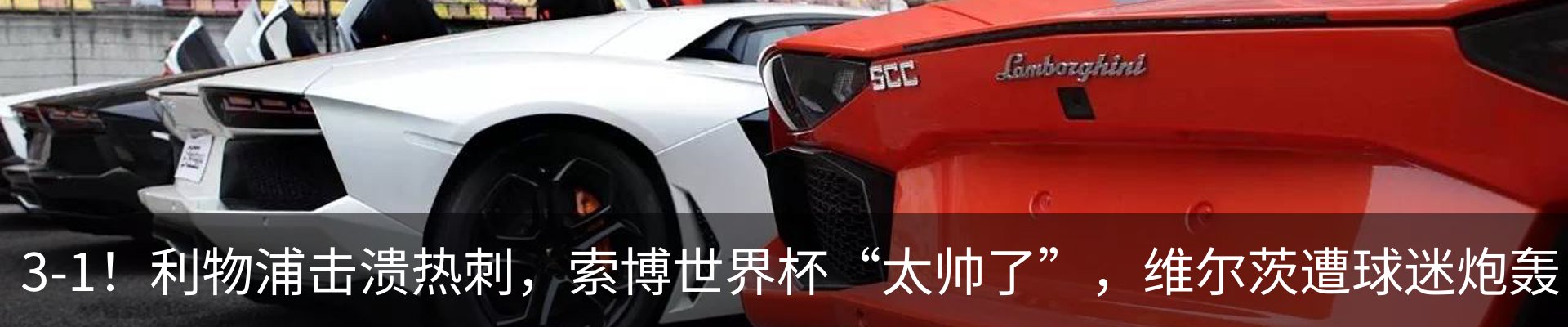 最新动态