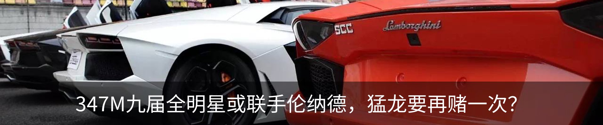 最新动态
