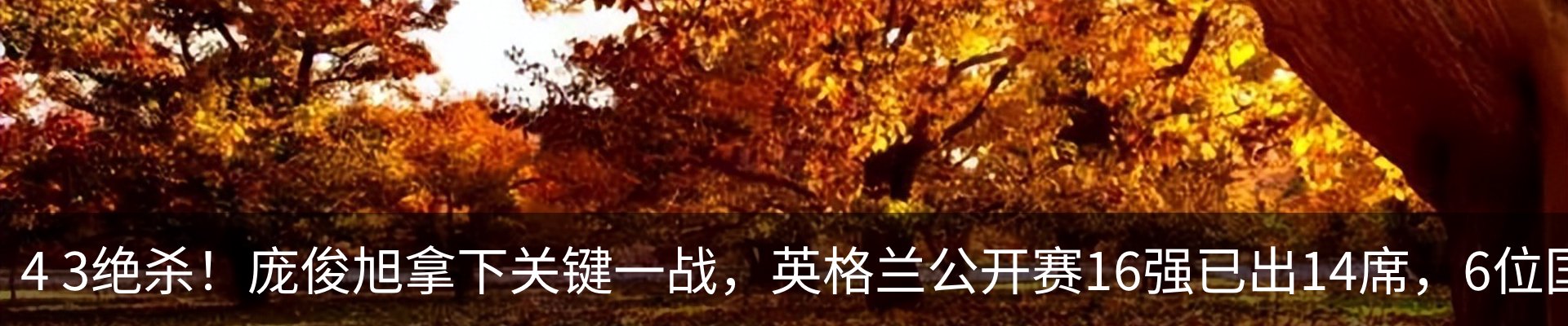 最新动态