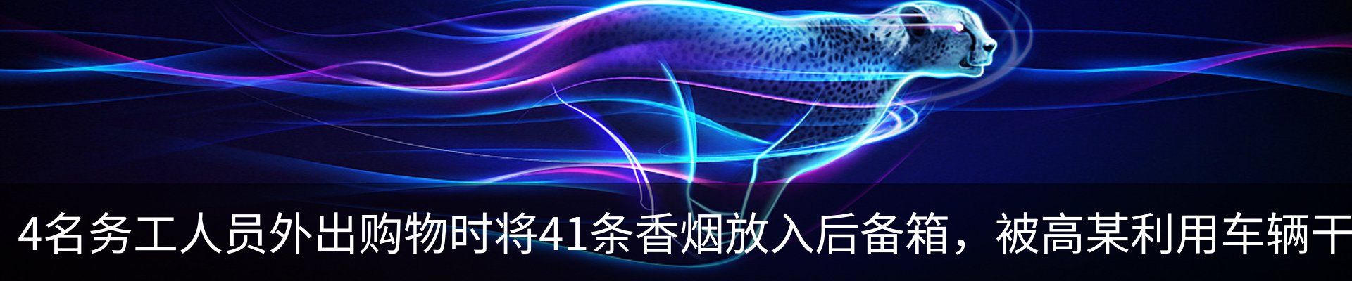 最新动态