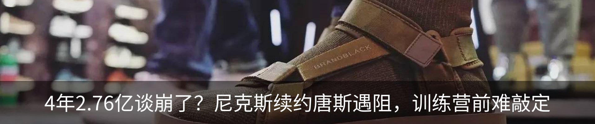 最新动态