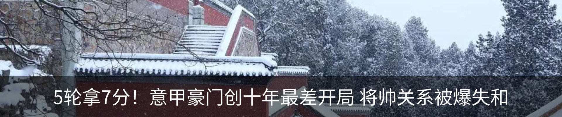 最新动态