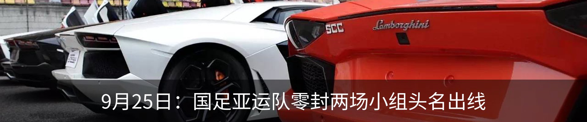 最新动态