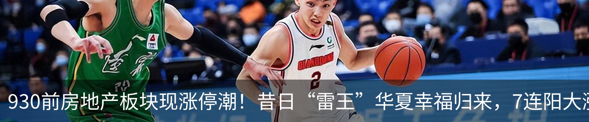 最新动态