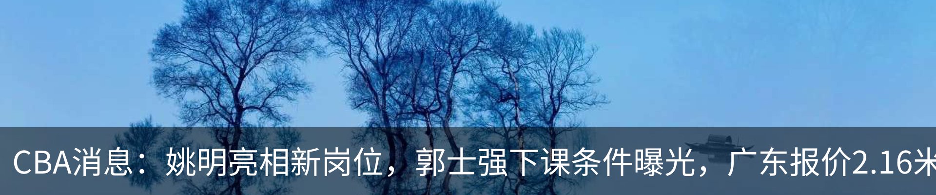 最新动态
