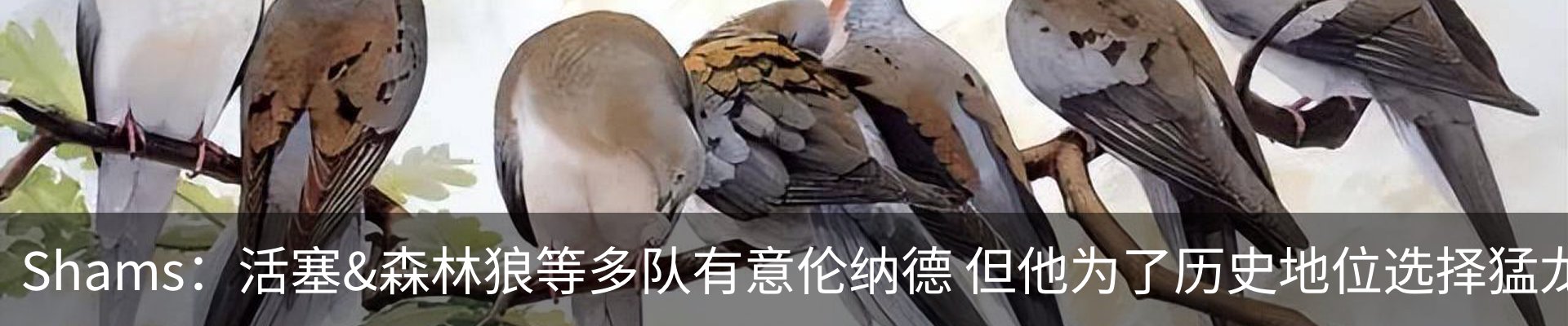 最新动态
