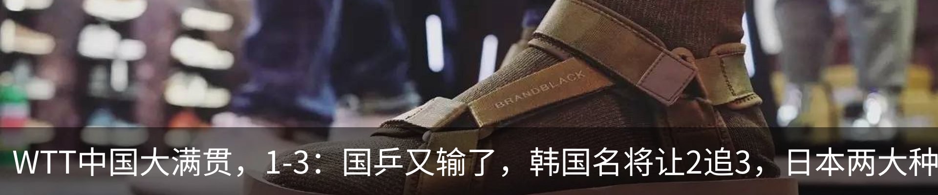 最新动态