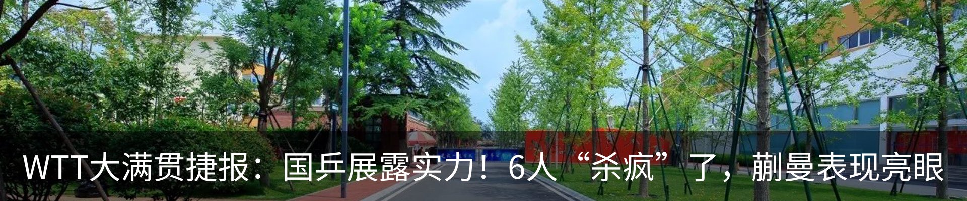 最新动态